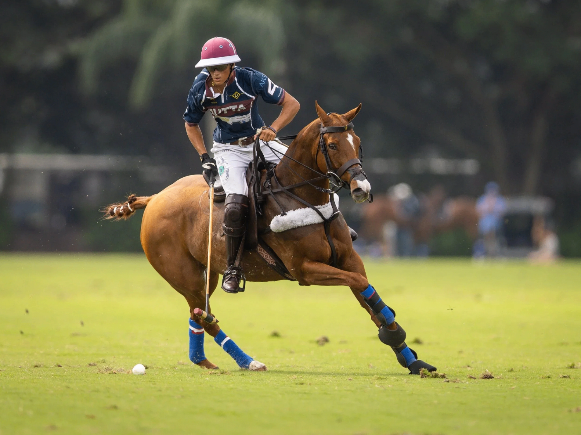 Polo